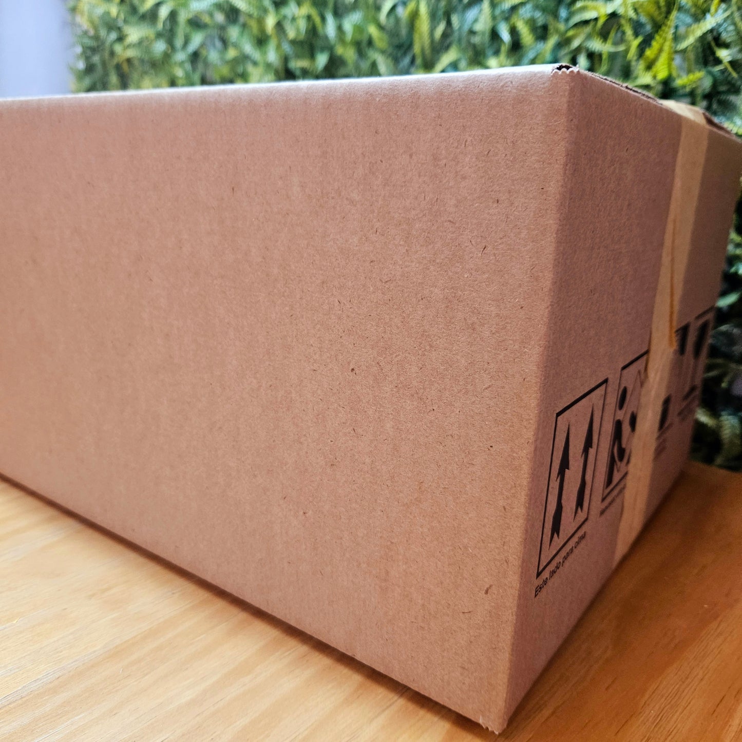 Maison Charlô | Wholesale Box 50 or 100 or 160 Green Monstera Leaf Napkin Rings for events, wedding, party