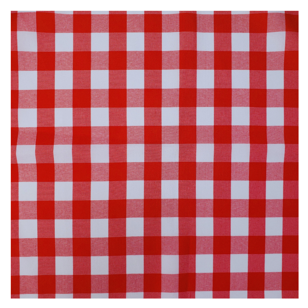Charlo's Synthetic Cloth Napkins Set of 4 Plaid Red 16