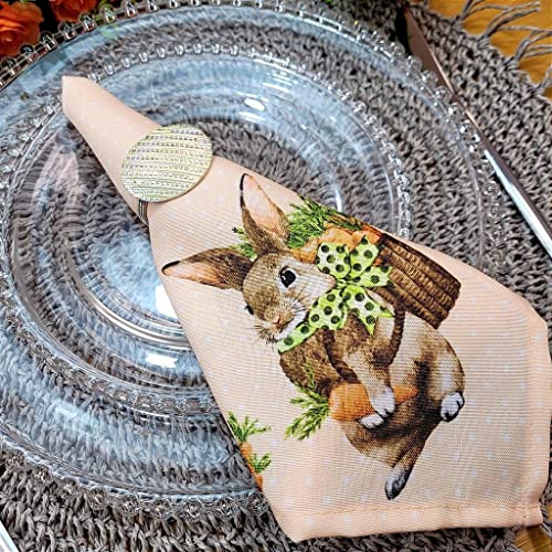 Charlo's Easter Cloth Napkins Carrot Basket Reusable Soft Durable Orange