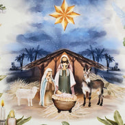 Set of 4 Placemats Christmas Happy Night Cloth Waterproof 17
