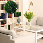 Charlo's Pack 20 OR 40 Monstera Artificial Plants Palm Leaves Tropical Imitation for Home Kitchen Party Flowers Arrangement Decorations