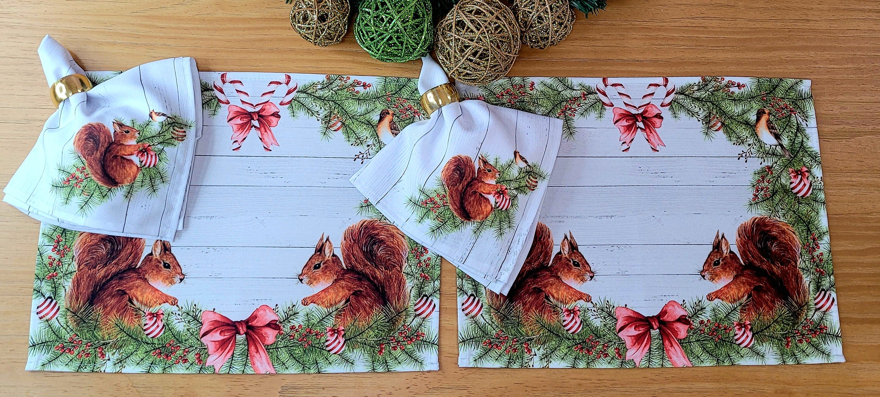 Set of 4 Placemats Christmas Squirrel Cloth Waterproof 17