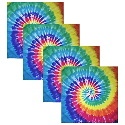 Charlo's Cloth Napkins  Set of 4 Tie Dye 16" by 16" - Colored