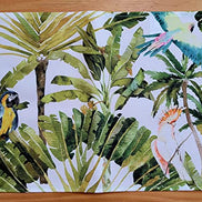 Jogo Americano Retangular Impermeável Papagaio Brasileiro 17X13 Charlo's - 4 Peças