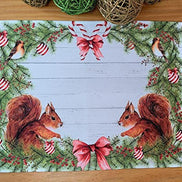 Set of 4 Placemats Christmas Squirrel Cloth Waterproof 17