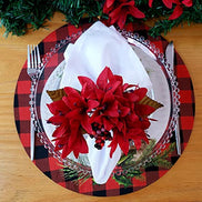 Set of 4 Round Placemats Covers Plaid Christmas Reindeer Cloth 14