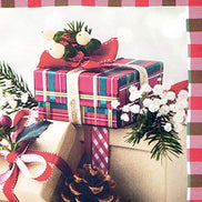 Set of 4 Placemats Christmas Gift Box Cloth Waterproof 17