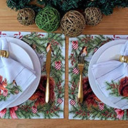 Set of 4 Placemats Christmas Squirrel Cloth Waterproof 17