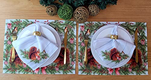 Set of 4 Placemats Christmas Squirrel Cloth Waterproof 17