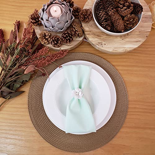 Charlo's Conjunto de 4 Guardanapos de Pano Sólidos 100% Algodão Verde Água 38cm x 38cm Laváveis Reutilizáveis