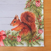 Set of 4 Placemats Christmas Squirrel Cloth Waterproof 17