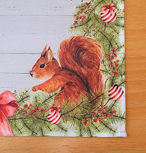 Set of 4 Placemats Christmas Squirrel Cloth Waterproof 17