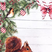Set of 4 Placemats Christmas Squirrel Cloth Waterproof 17