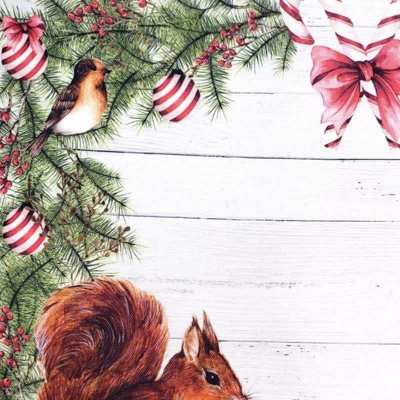 Set of 4 Placemats Christmas Squirrel Cloth Waterproof 17