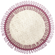Charlo's Set of 2 Pink Sustainable Brazilian Jute Liz Round Placemats Sousplat 16