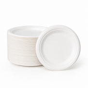 Sugarcane Bagasse Plates 9 in — Eco Hosting Tableware, Pack of 20