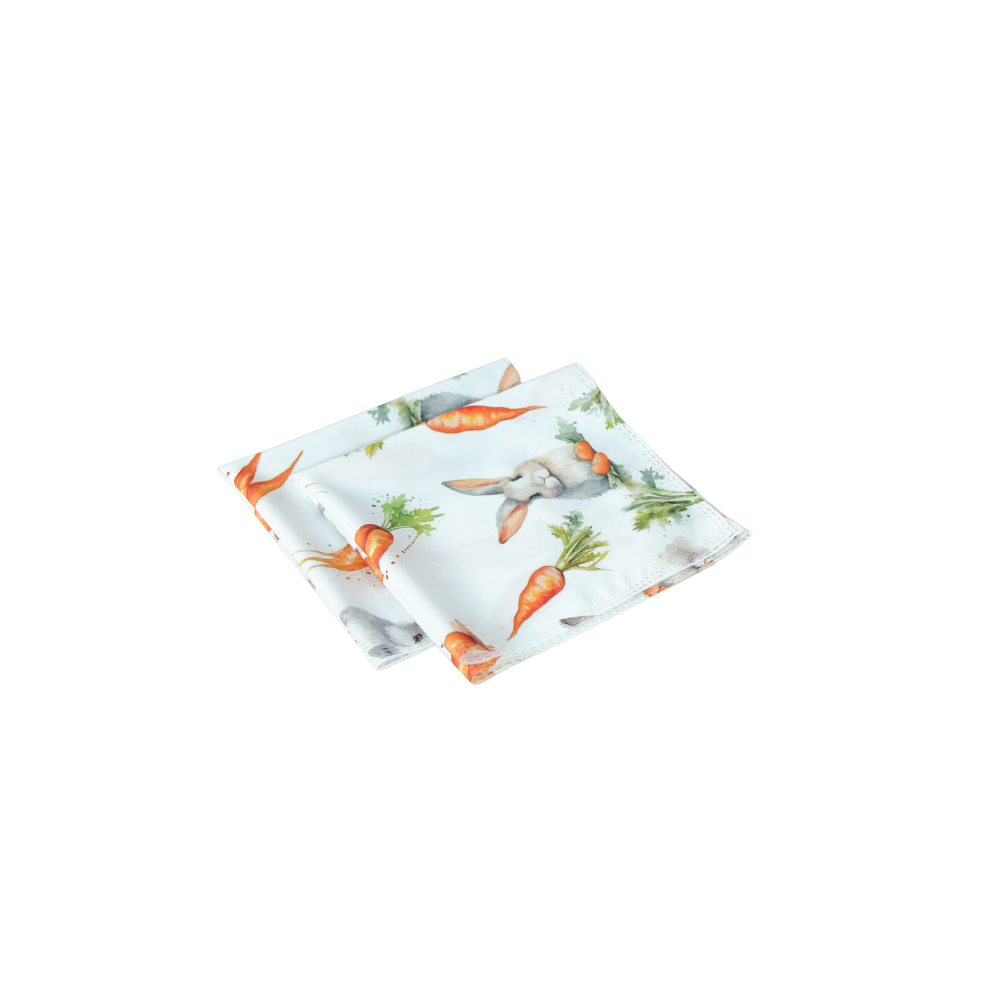 Essence Microfiber Cloth Napkins Set of 2, 13.78 x 13.78 in