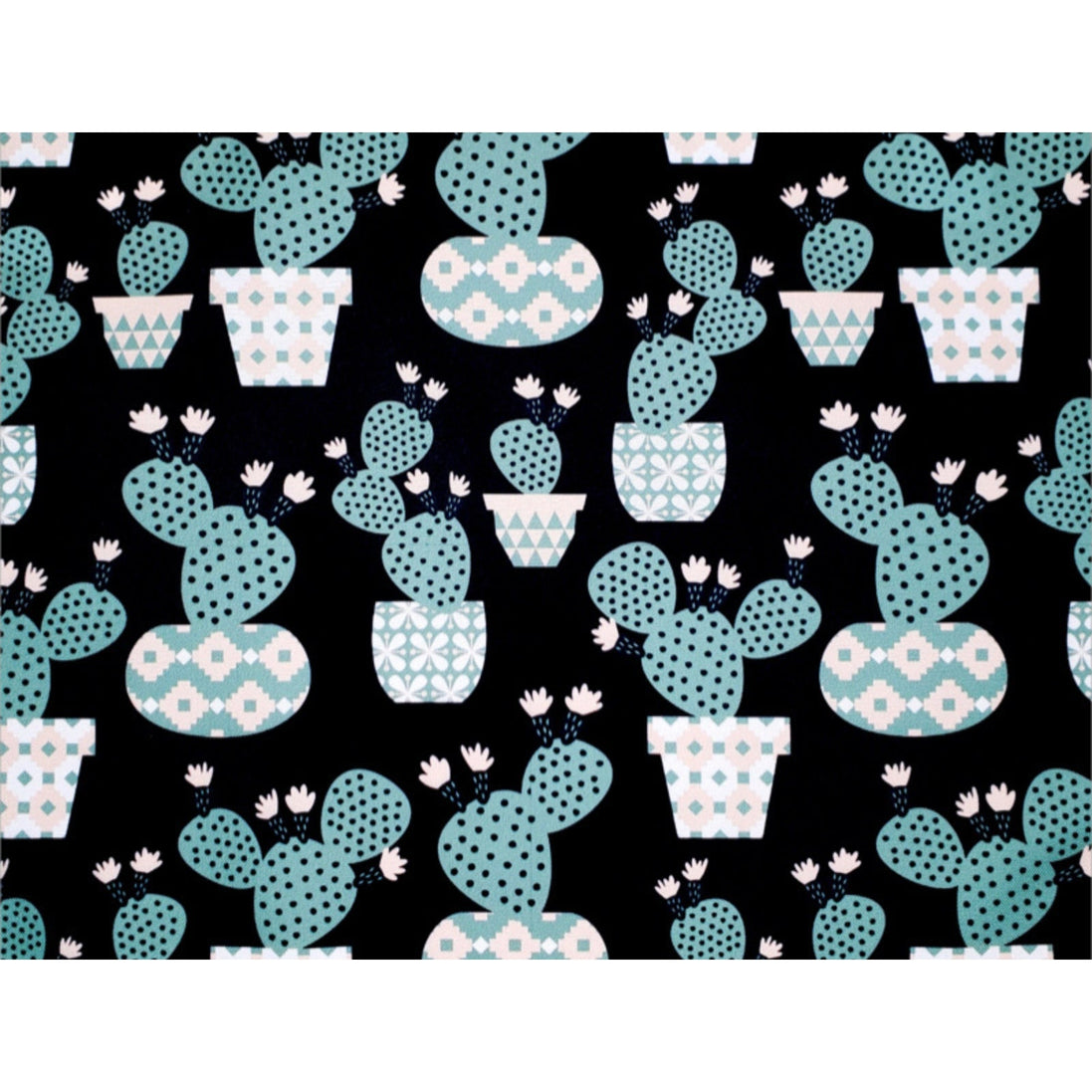 Conjunto Charlo com 4 Jogos Americanos Retangulares Impermeáveis Cacto Divertido 43x33cm