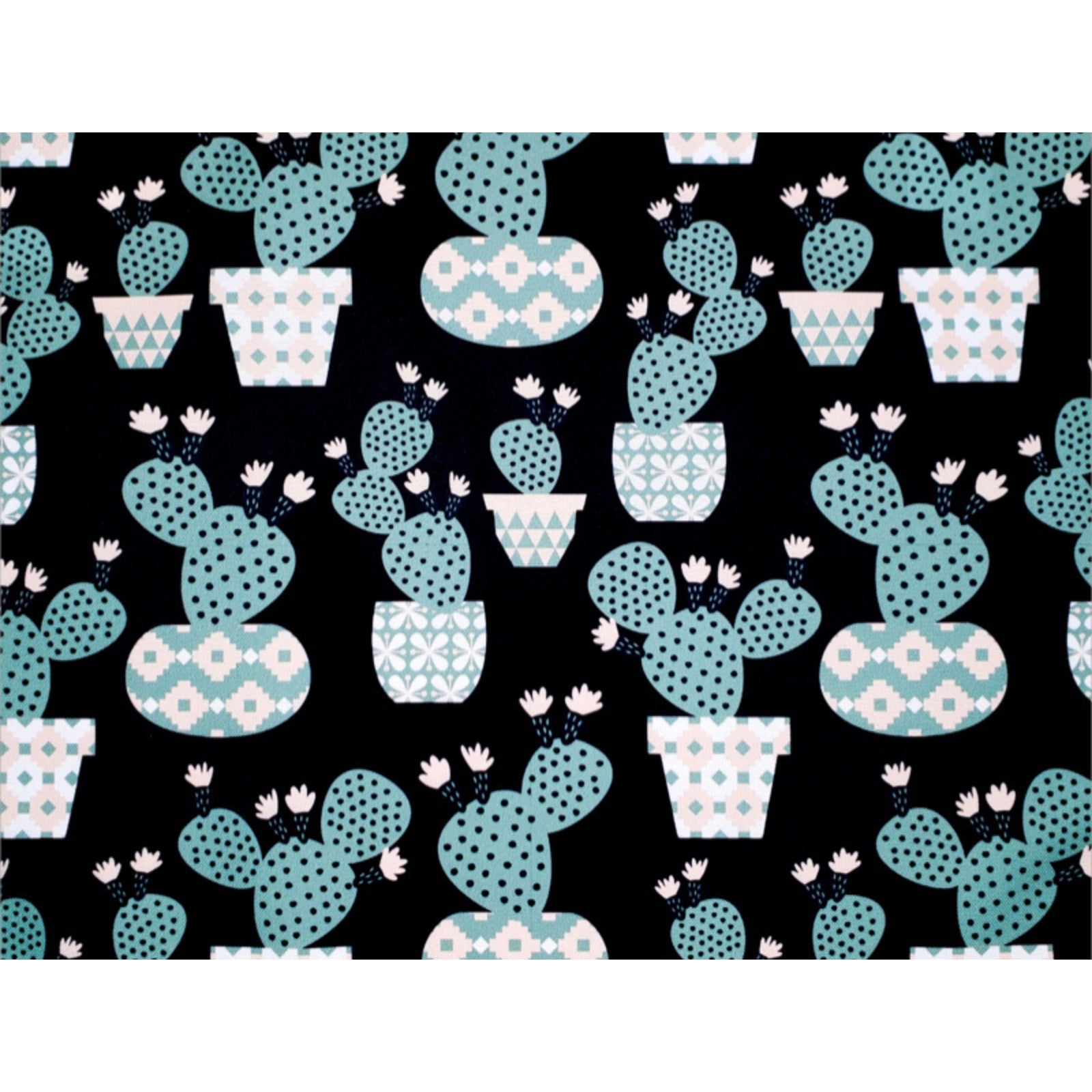 Conjunto Charlo com 4 Jogos Americanos Retangulares Impermeáveis Cacto Divertido 43x33cm