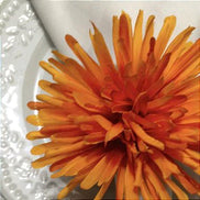 Set of 4 Orange Dandelion Flower Napkin Rings